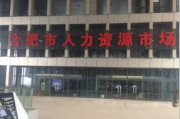 安徽人才市场,汇聚英才，助力区域经济发展